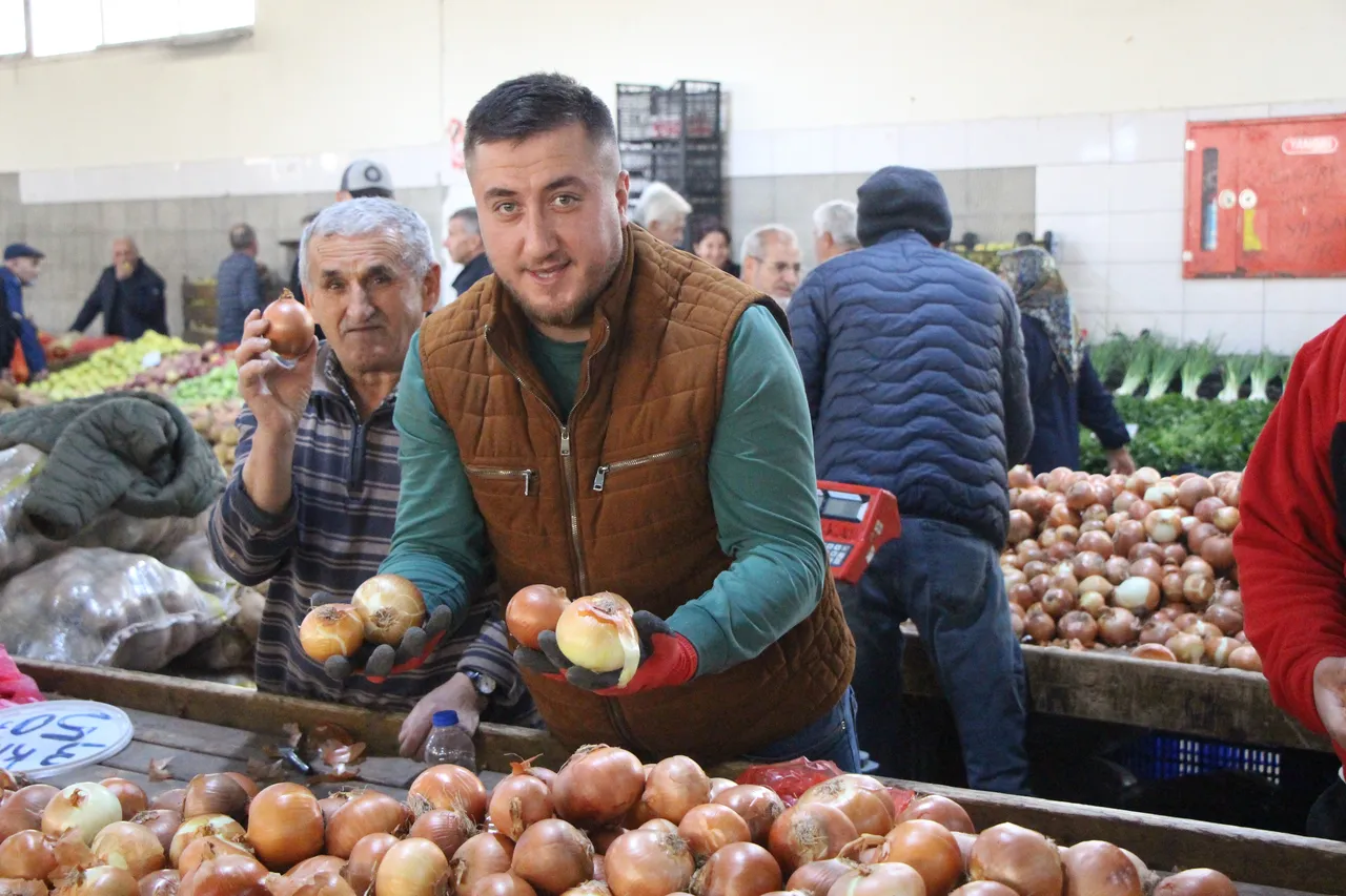Pazarın en ucuzu: Kilosu 15 lira! Amasya'dan Avrupa'ya ihraç ediliyor