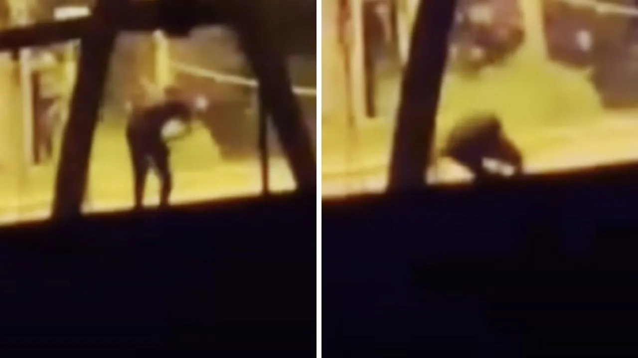 Sakarya'da hareketli gece! Polisle 3 sokak boyunca çatıştı, okul önünde vurularak yakalandı