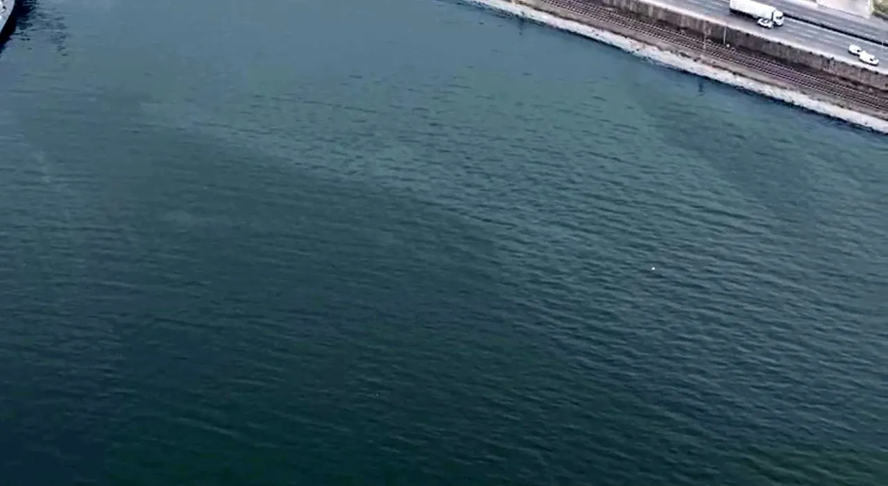 11. kez tekrarlayan tehlike! En çok Körfez risk altında, İzmir’de bir alarm daha