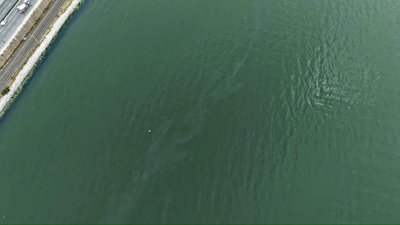 11. kez tekrarlayan tehlike! En çok Körfez risk altında, İzmir’de bir alarm daha