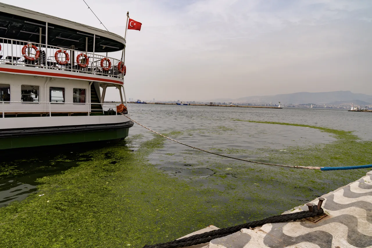 11. kez tekrarlayan tehlike! En çok Körfez risk altında, İzmir’de bir alarm daha