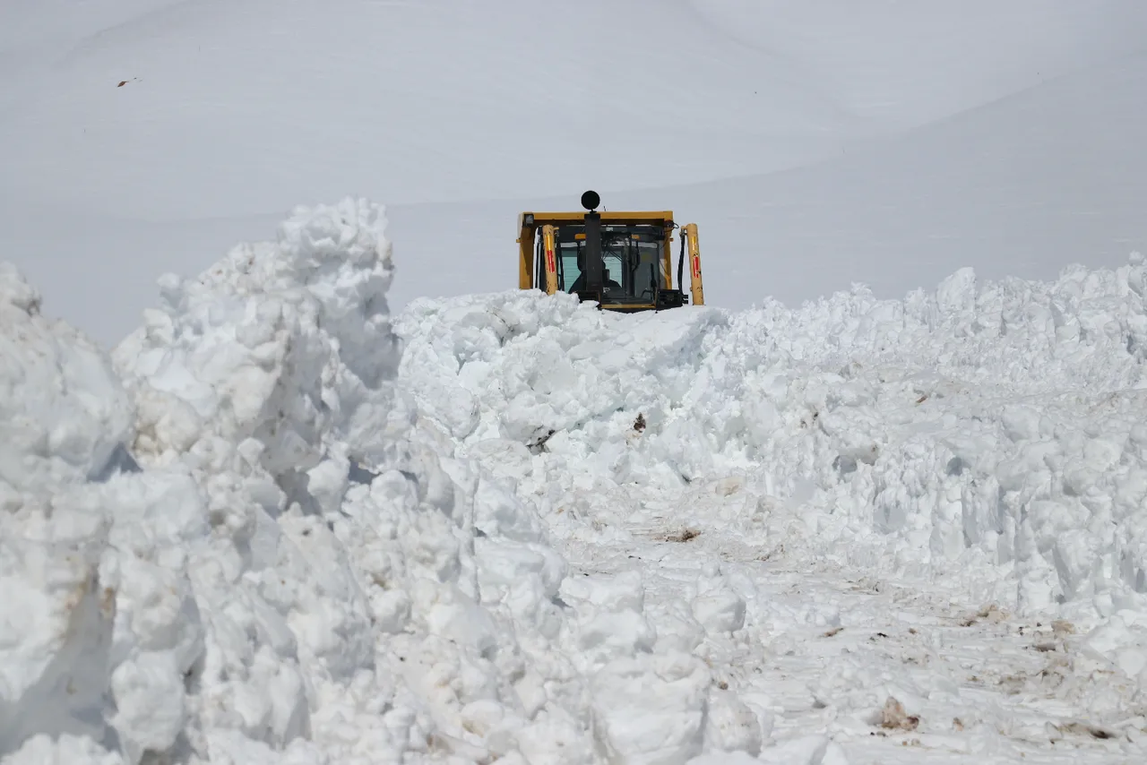 66 yıllık rekor kıran kent! Kardan görünemez hale geldi, Ağrı'nın sağı solu, her köşesi bembeyaz