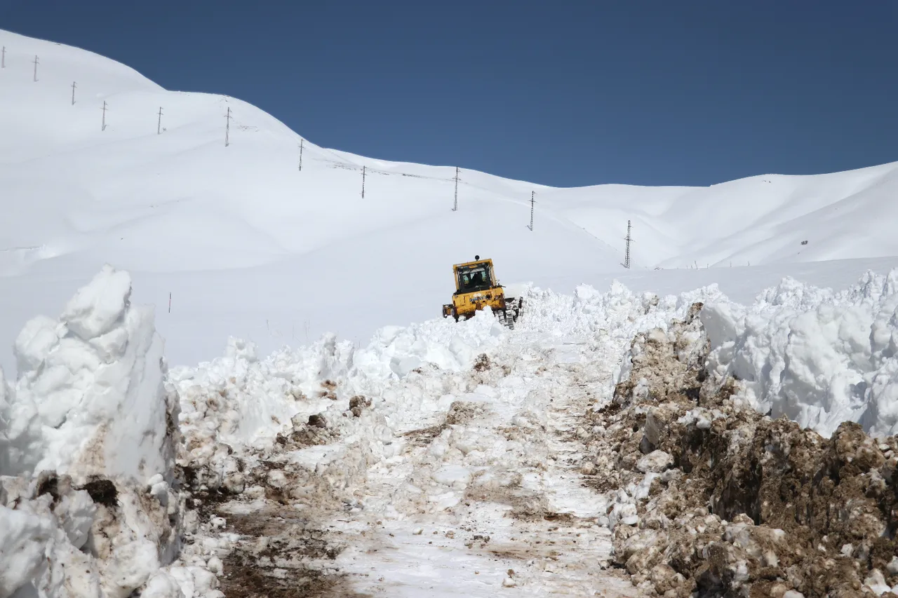 66 yıllık rekor kıran kent! Kardan görünemez hale geldi, Ağrı'nın sağı solu, her köşesi bembeyaz