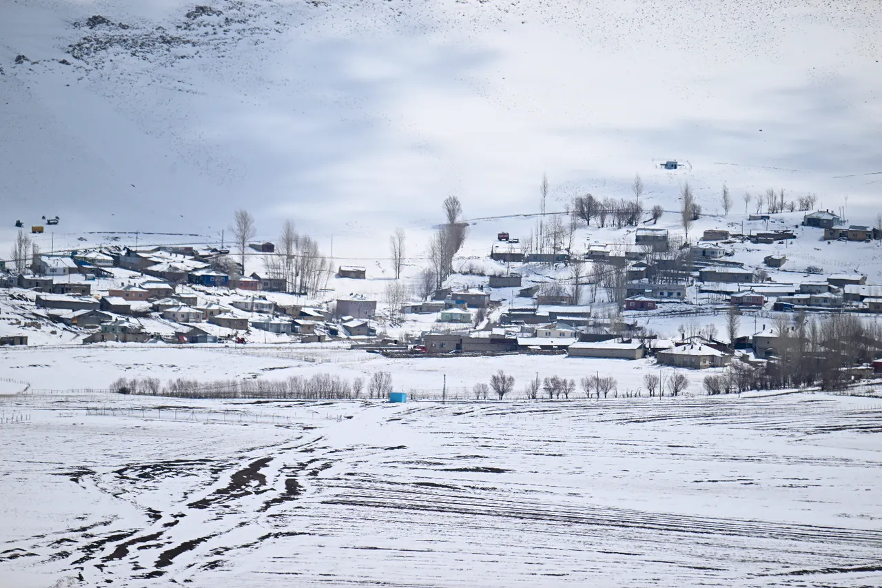 66 yıllık rekor kıran kent! Kardan görünemez hale geldi, Ağrı'nın sağı solu, her köşesi bembeyaz