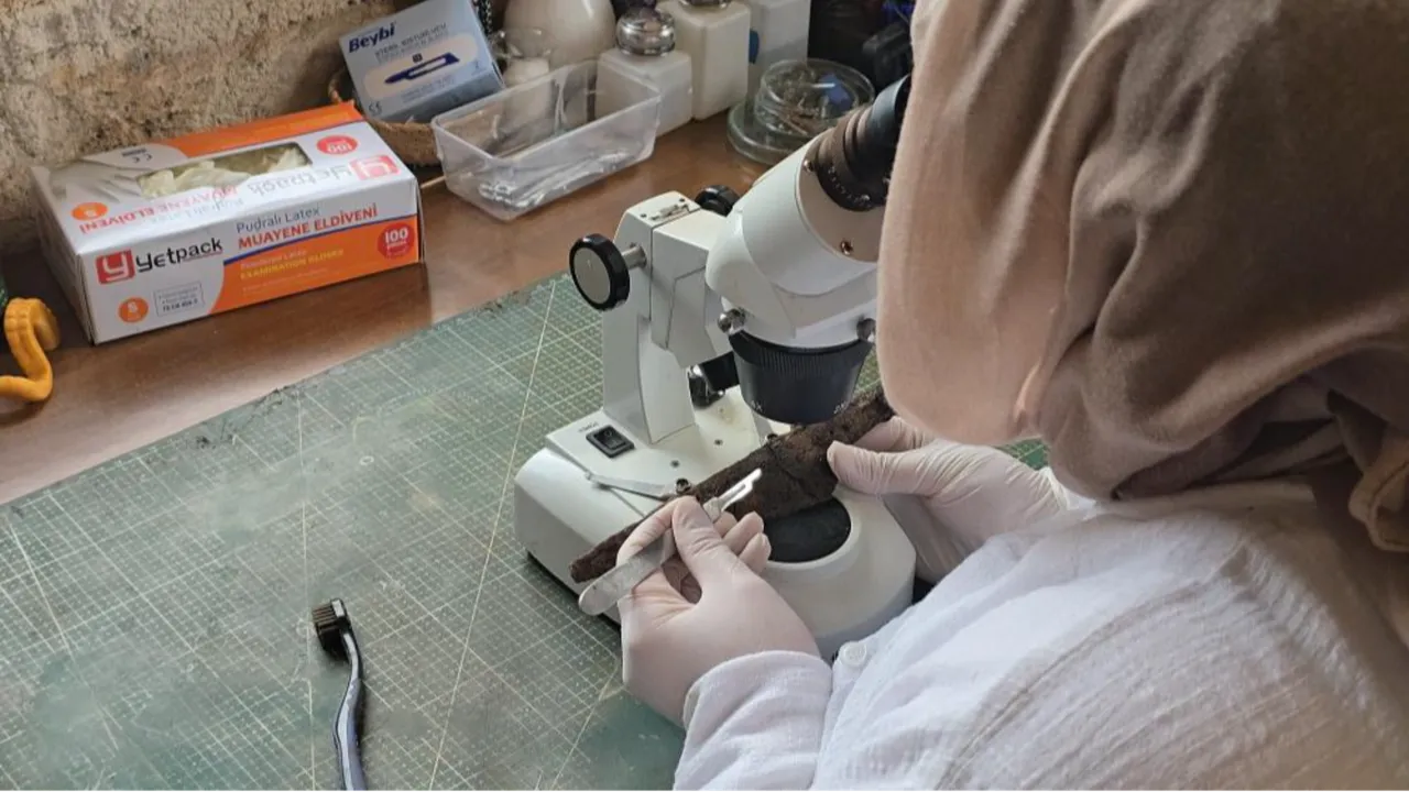 Antik kazıda ortaya çıktı! 1500 yıllık bıçak seti bulundu