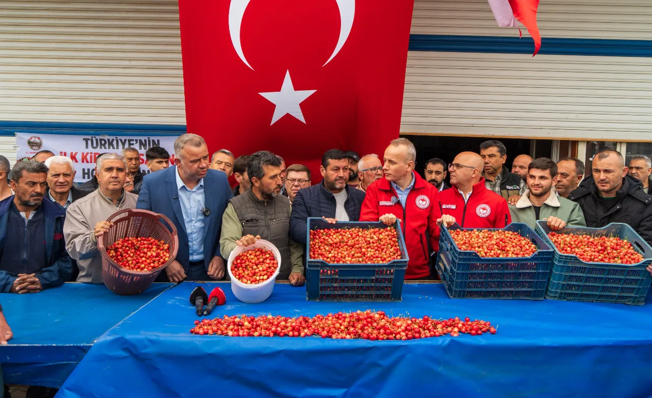 Kuzey yarım kürenin ilk hasadı Manisa'dan! Kilosu 6 bin TL'ye satıldı