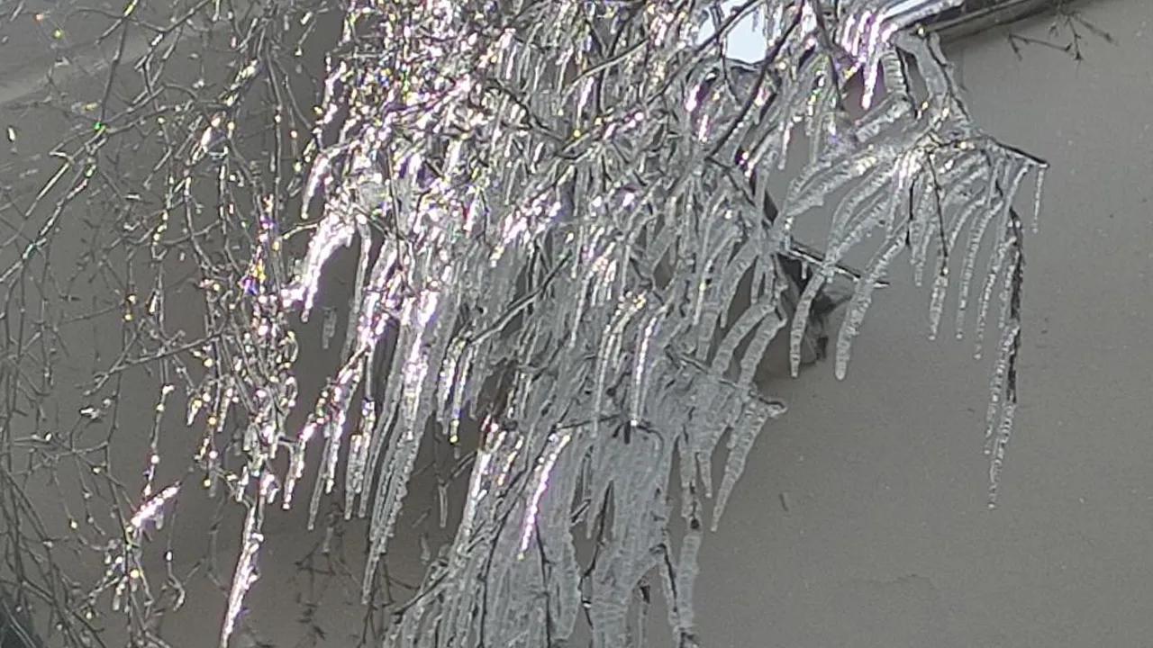 Nisan ayında eksi 10'u gördüler! Ağaç dalları bile buz tuttu