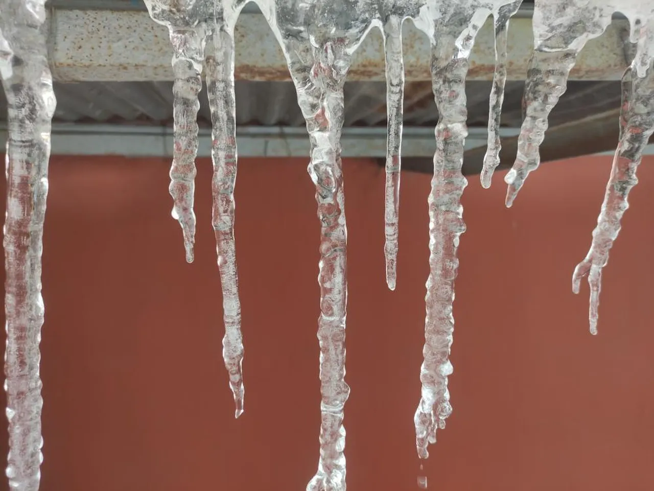 Nisan ayında eksi 10'u gördüler! Ağaç dalları bile buz tuttu