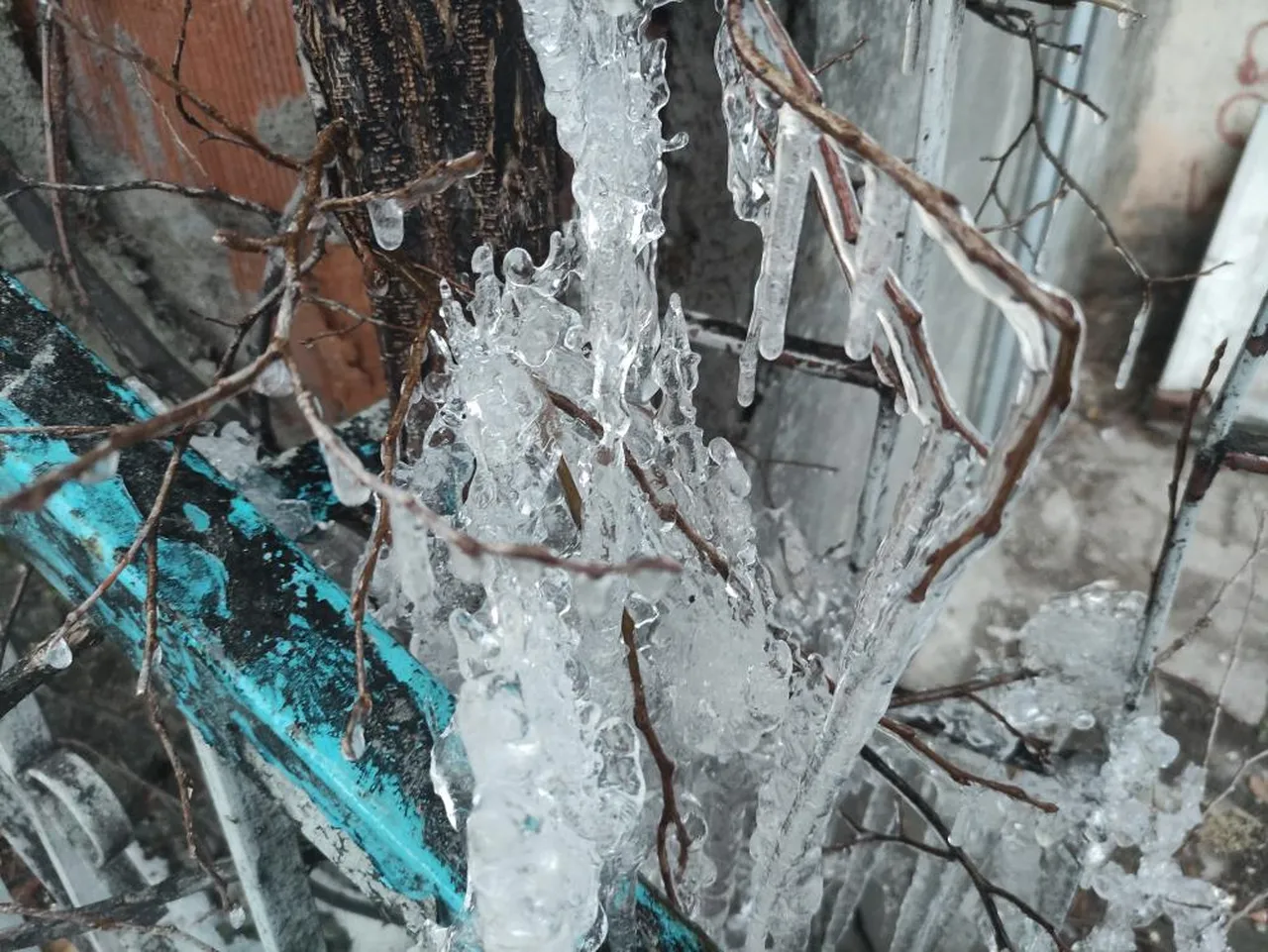 Nisan ayında eksi 10'u gördüler! Ağaç dalları bile buz tuttu