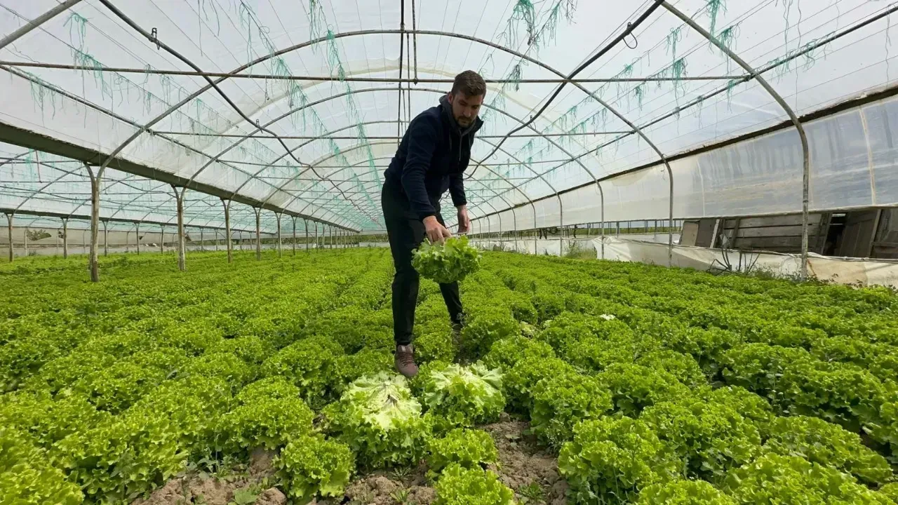 BU YIL EKEN BAYRAM EDİYOR!