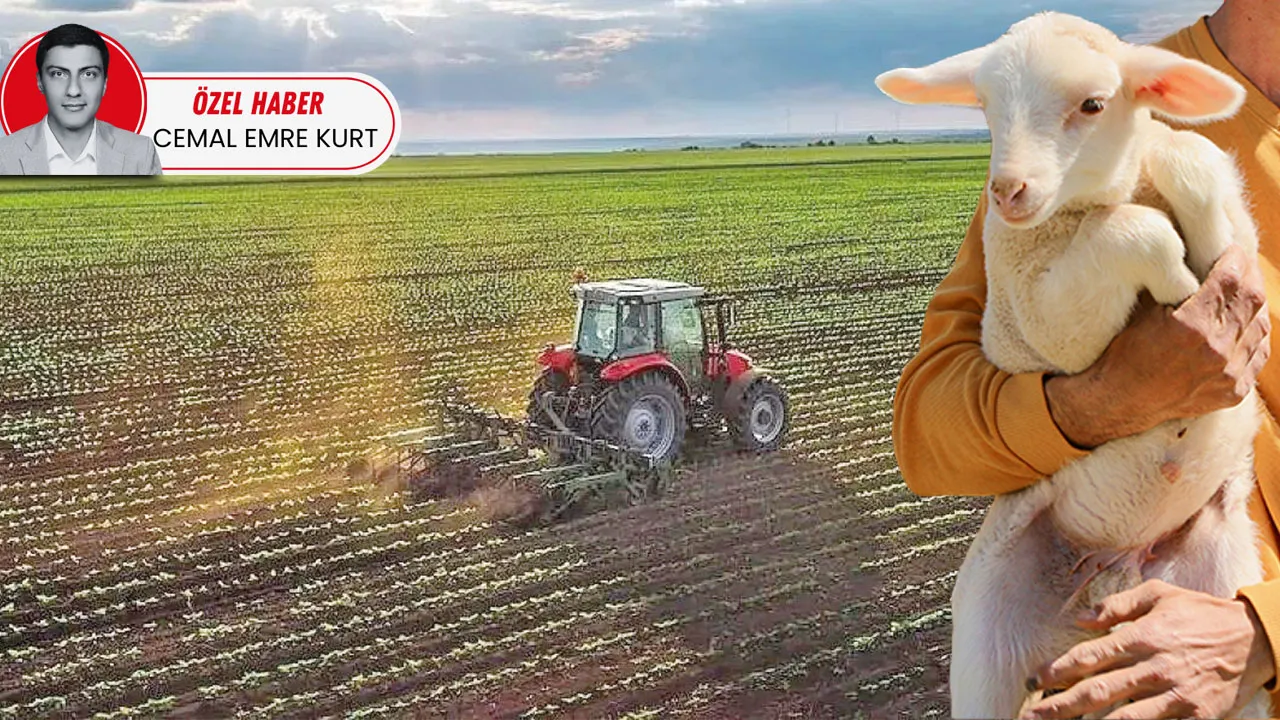 Ata topraklarına dönüş teşvik edilmeli! Kentten köye göçün formülü, kırsaldaki hayatın canlandırılması