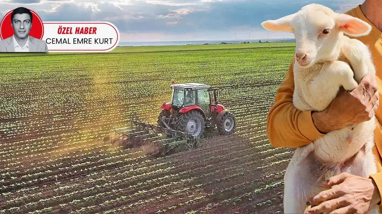 DÖNÜŞ TEŞVİK EDİLMELİ!