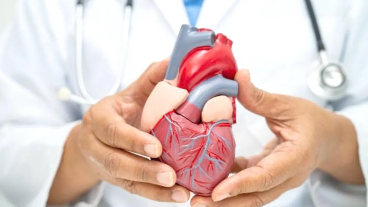 Gen terapileri sayesinde damar sertliği tarihe karışabilir