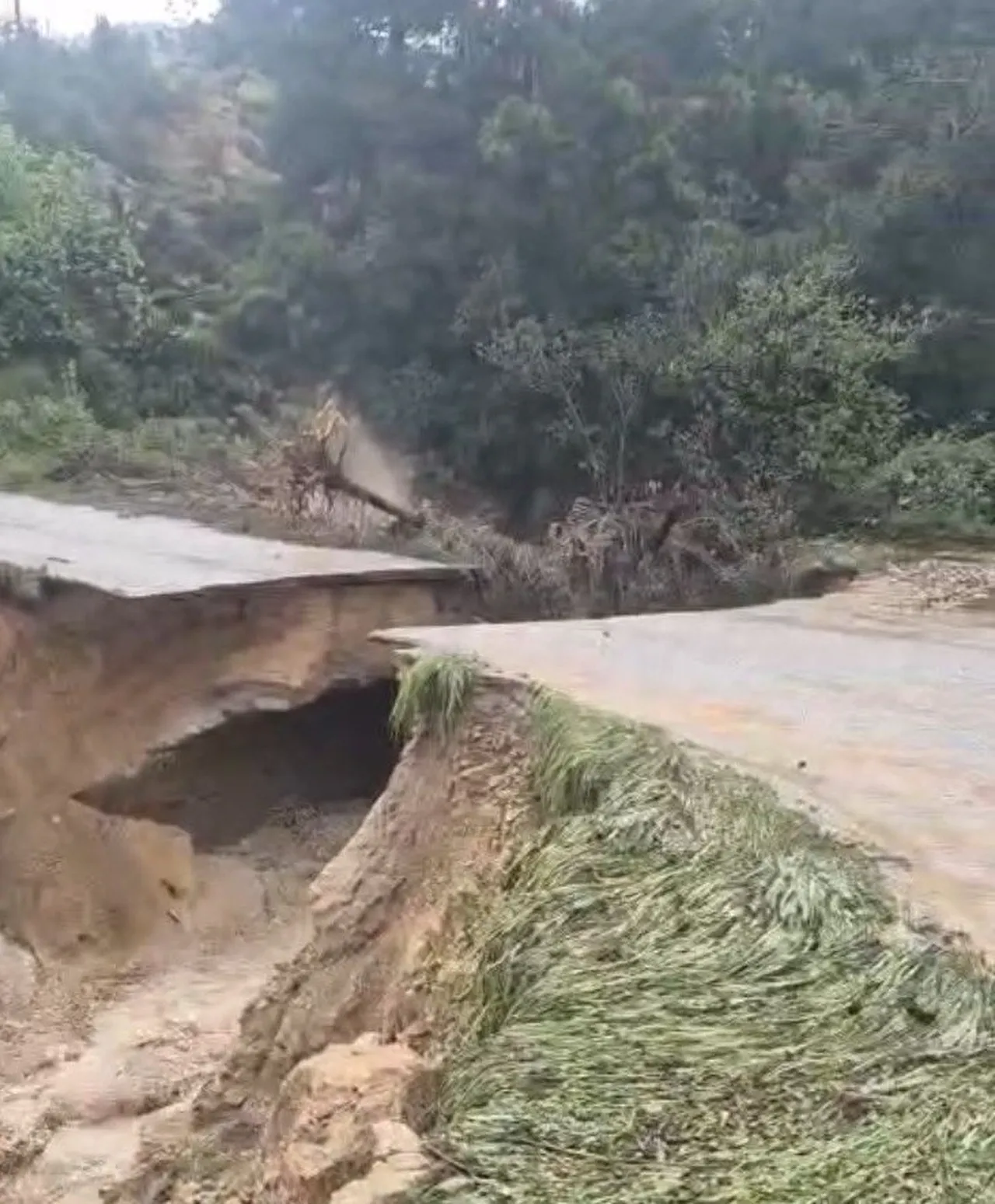 Mersin'i sağanak vurdu! Yolar çöktü, seralar suya gömüldü