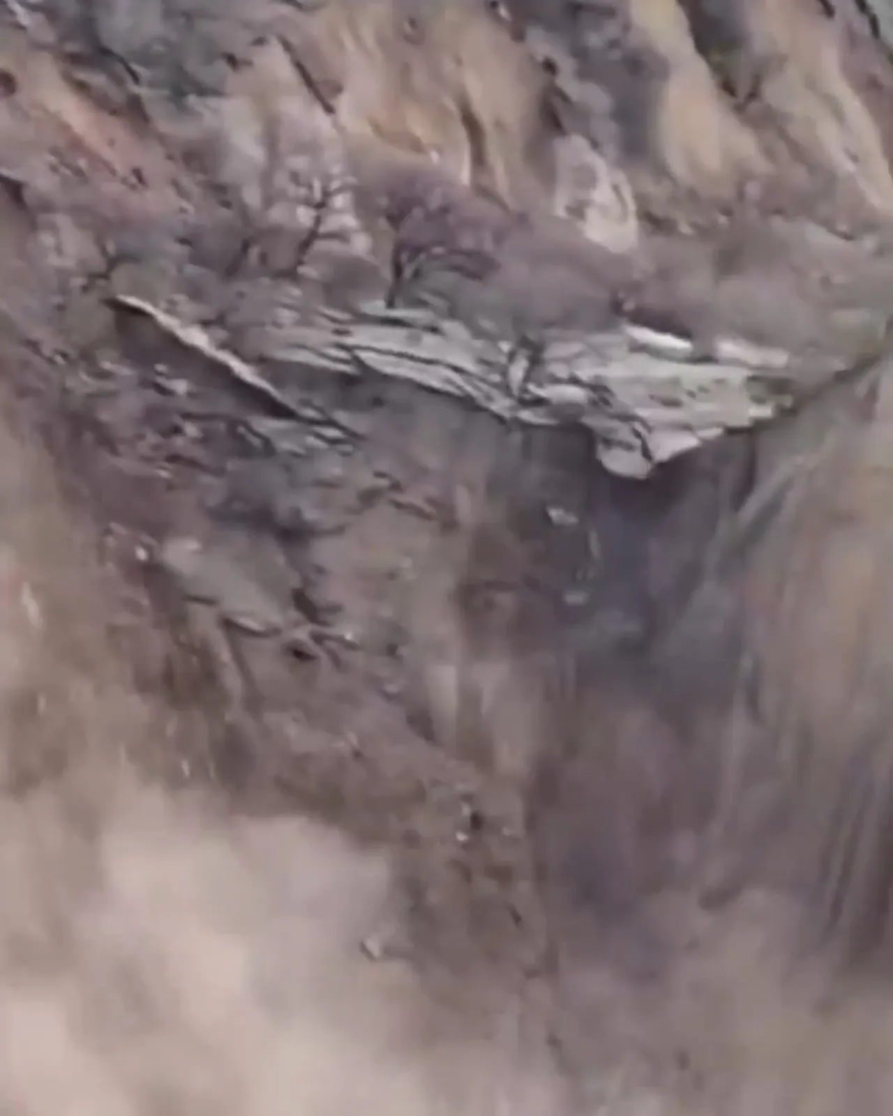 Rusyada toprak kayması felaketi! Yamaç saniyeler içinde çöktü