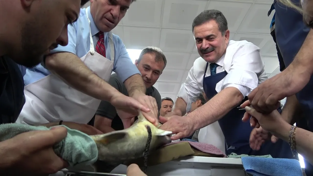 "Siyah inci" diye biliniyor, kilosu 90 bin lira! Karadeniz'e binlerce salınıyor, çiple takip edilecek