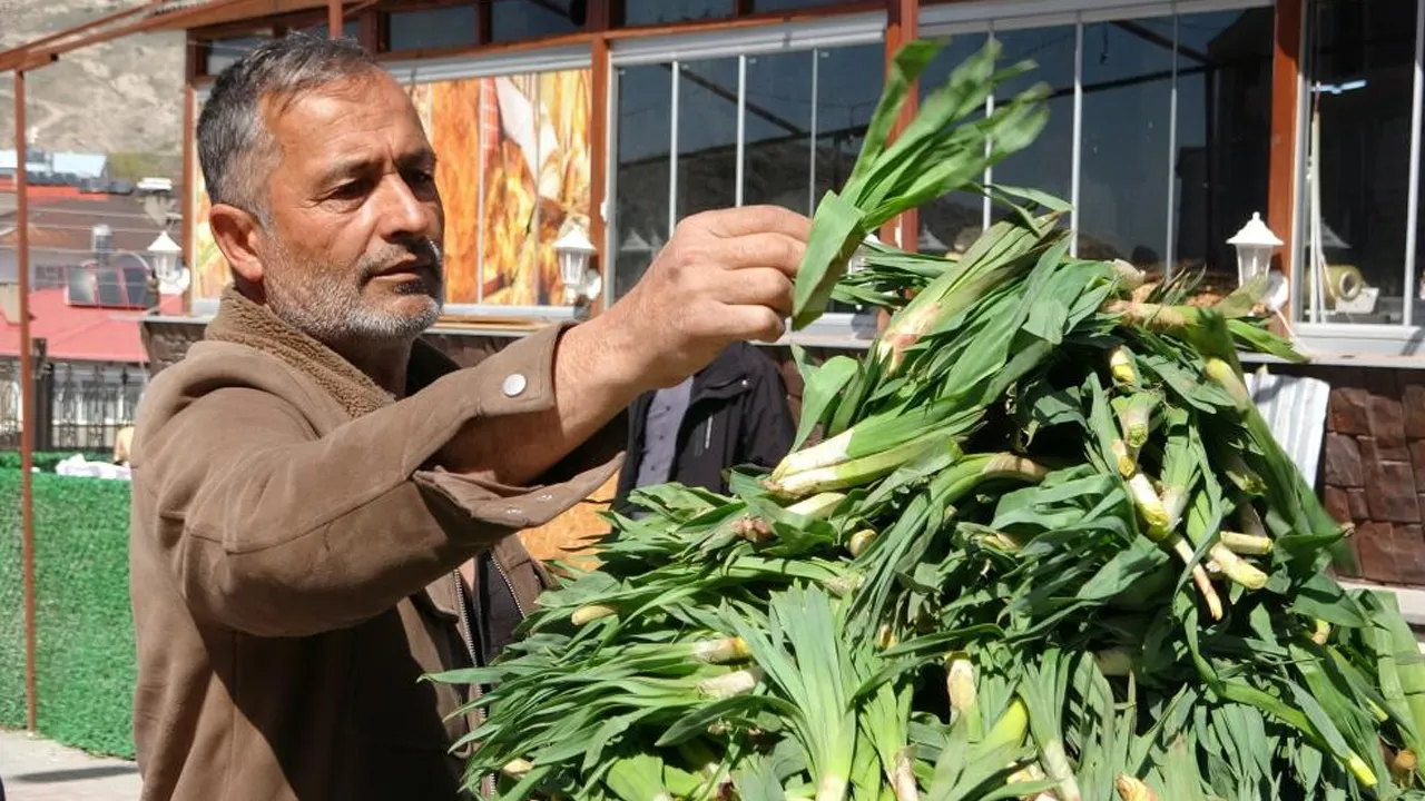 Yüksek kesimlerde kendi kendine yetişiyor! Tam bir şifa kaynağı... 100 liradan satışa çıktı