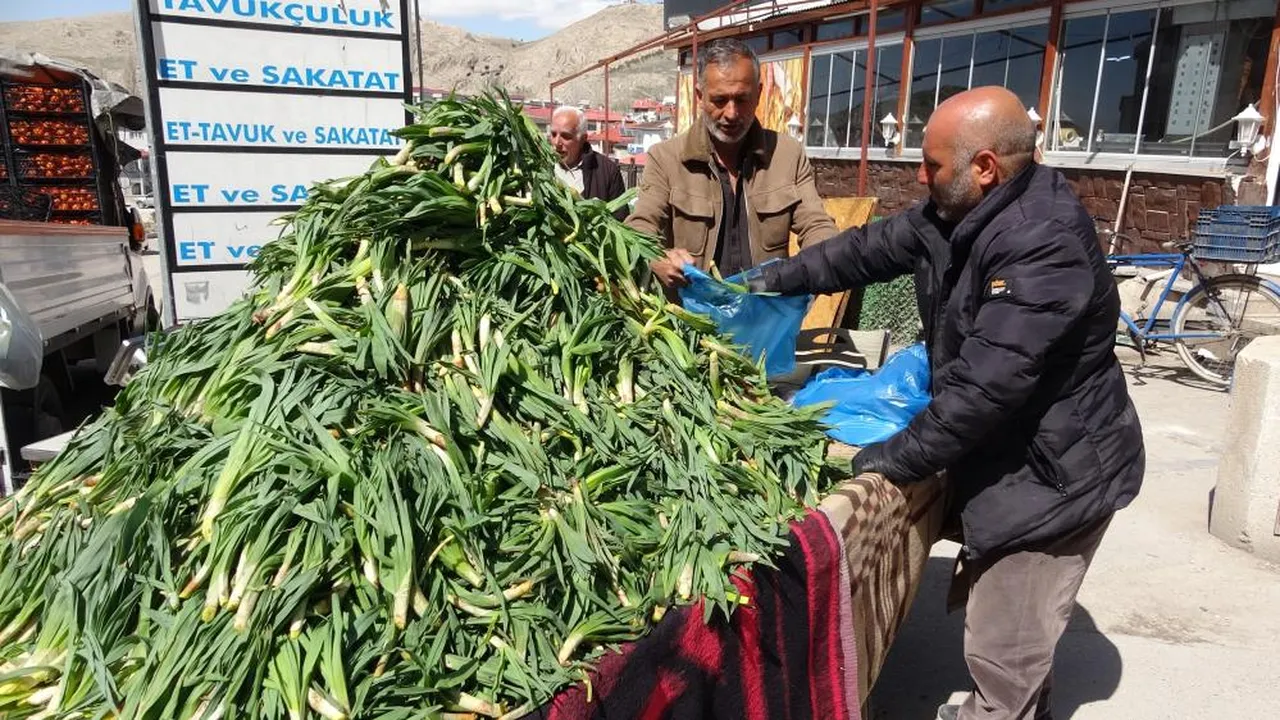 Yüksek kesimlerde kendi kendine yetişiyor! Tam bir şifa kaynağı... 100 liradan satışa çıktı