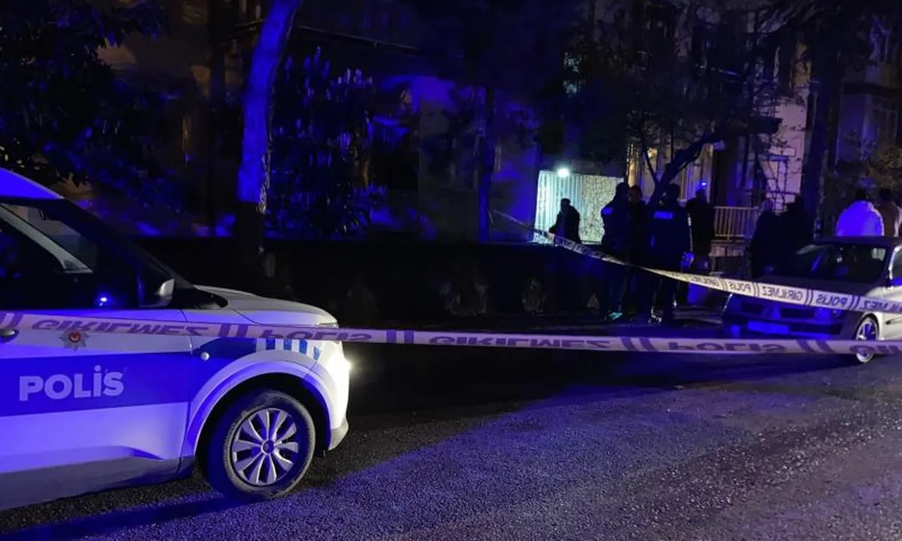 Kanlı gece: Akraba kavgası kötü bitti, önce yaraladı sonra intihar etti
