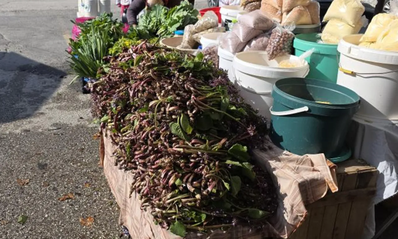 Kendiliğinden yetişiyor, bedavaya toplanıyor! Şifalı bitkinin kilosu 100 lira