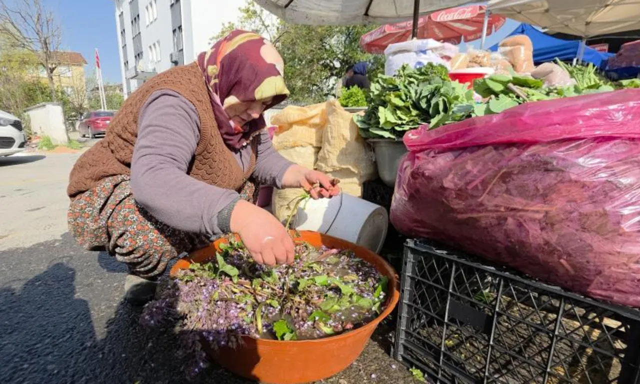 Kendiliğinden yetişiyor, bedavaya toplanıyor! Şifalı bitkinin kilosu 100 lira
