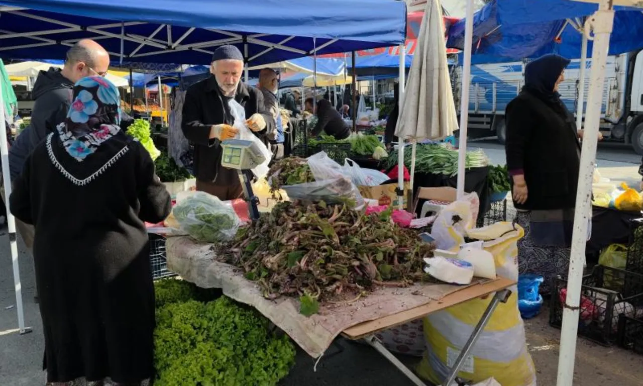 Kendiliğinden yetişiyor, bedavaya toplanıyor! Şifalı bitkinin kilosu 100 lira