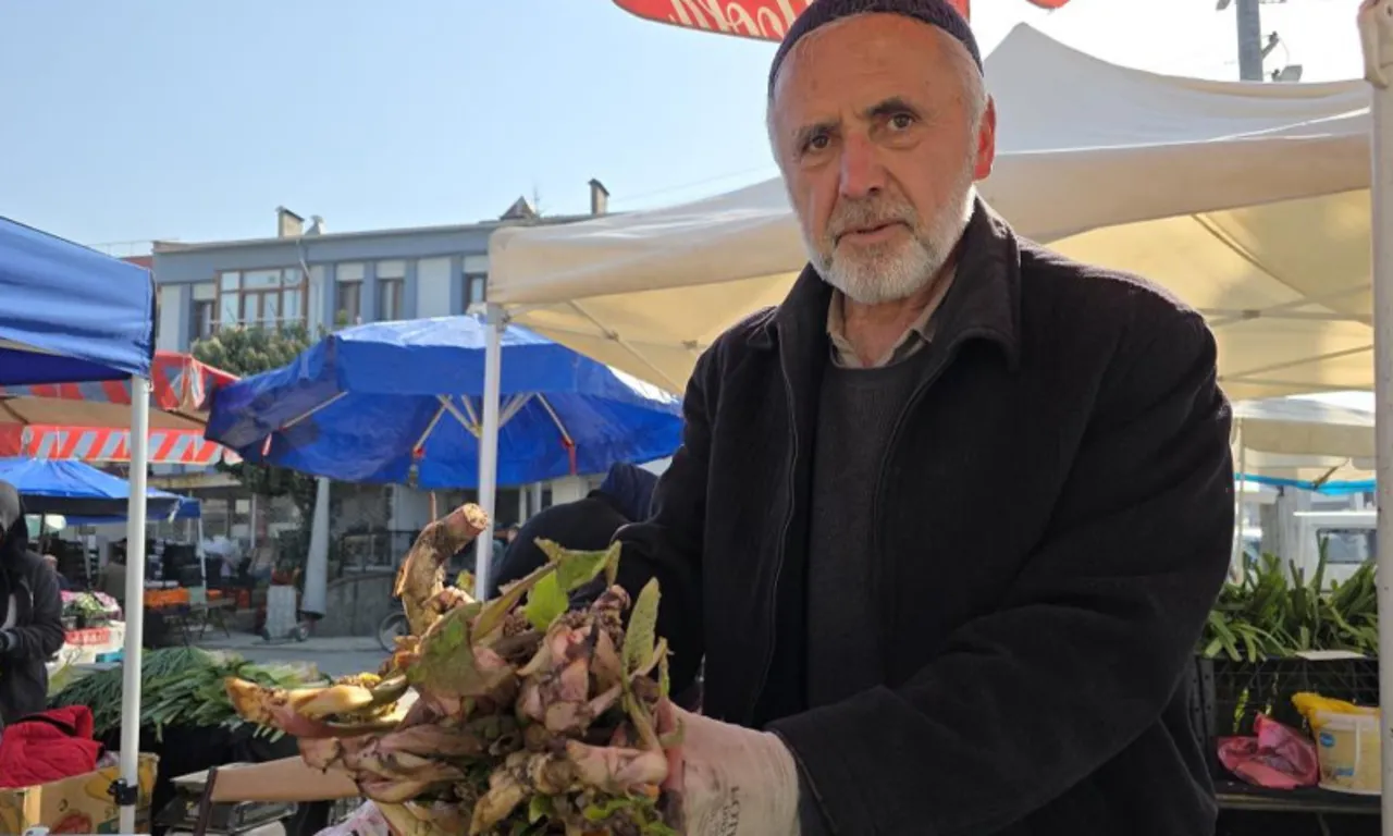 Kendiliğinden yetişiyor, bedavaya toplanıyor! Şifalı bitkinin kilosu 100 lira