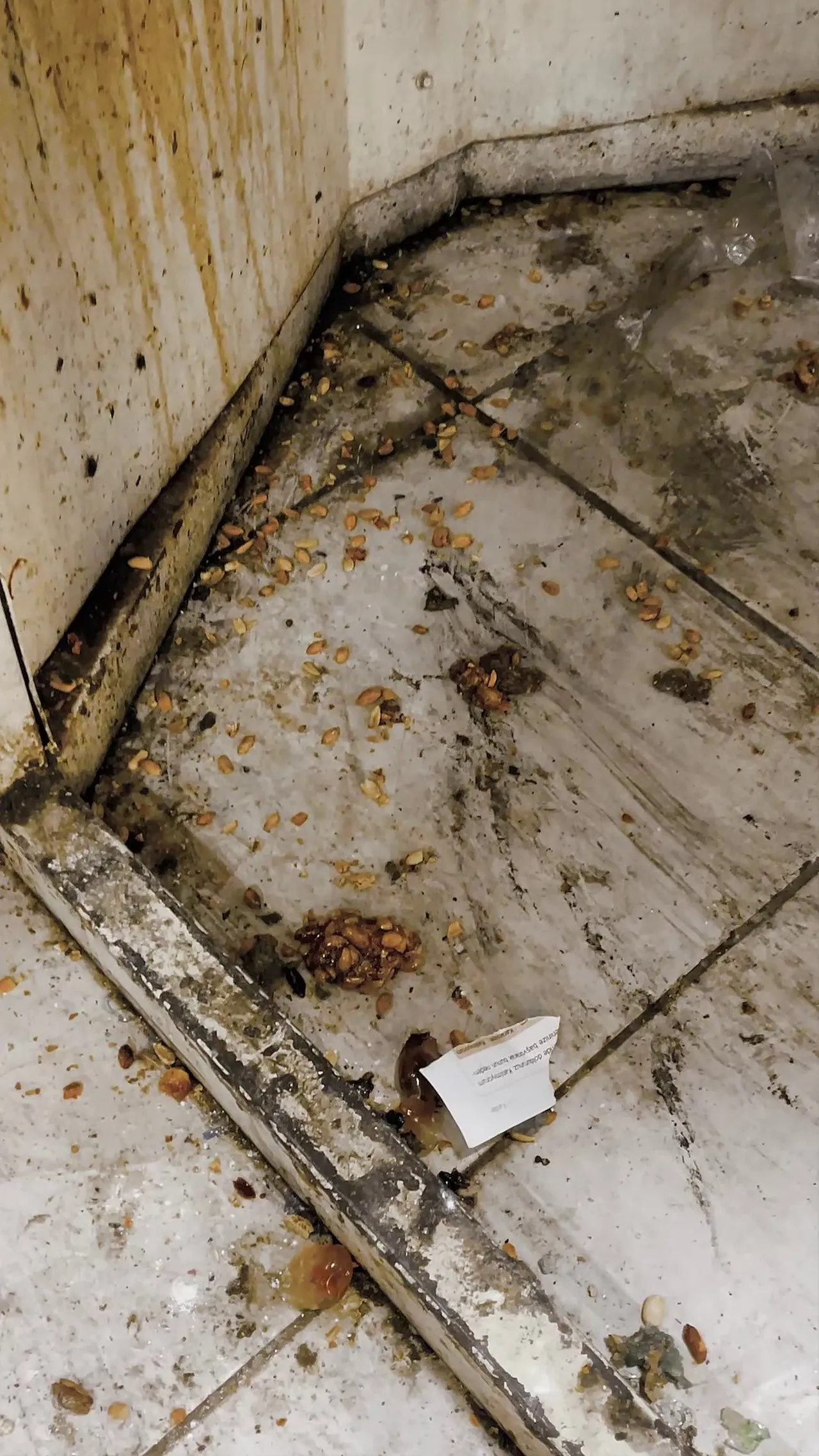 Kötü koku ele verdi! Zabıta kapıyı çaldı, mide bulandıran imalathane ortaya çıktı