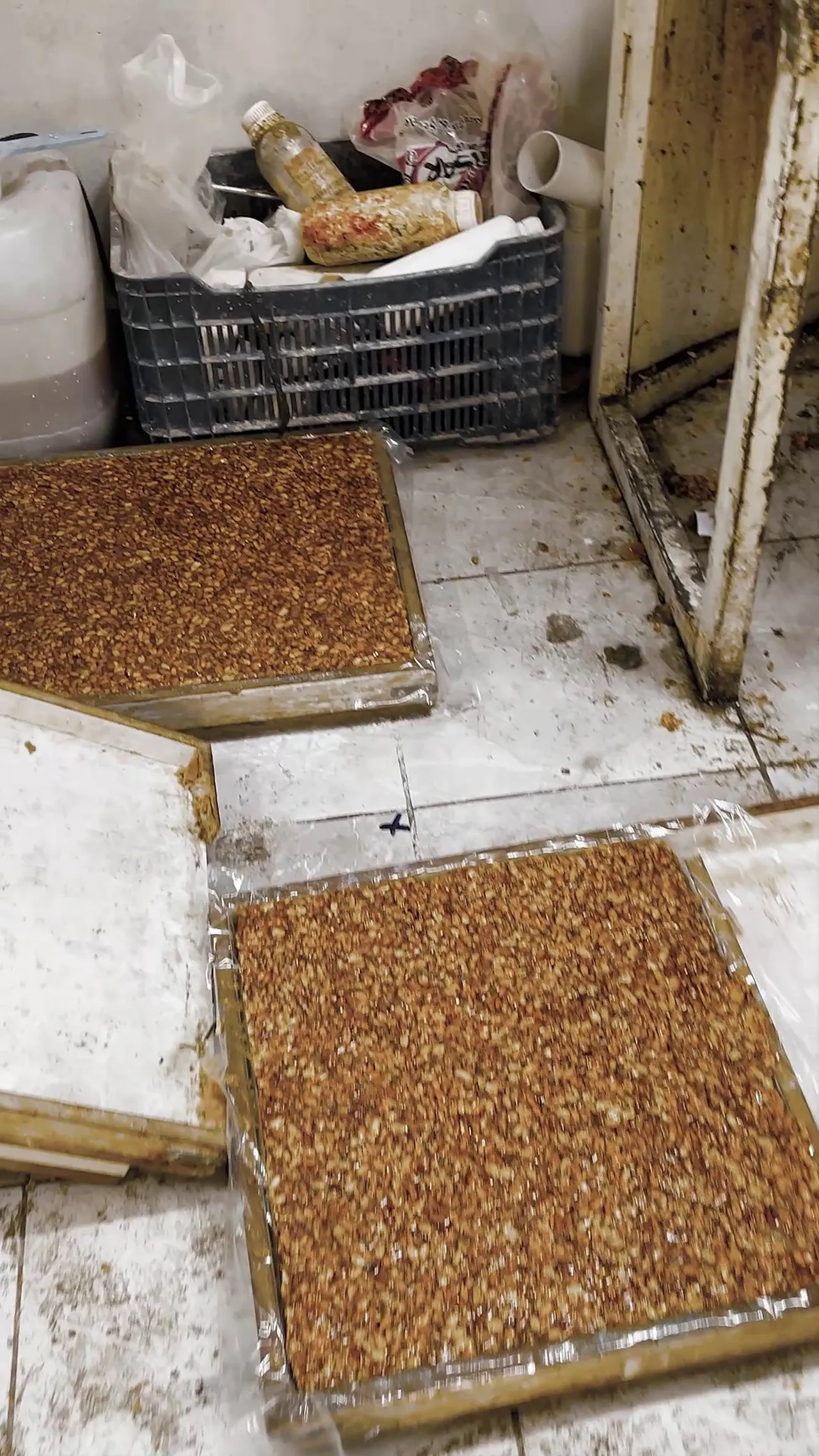 Kötü koku ele verdi! Zabıta kapıyı çaldı, mide bulandıran imalathane ortaya çıktı