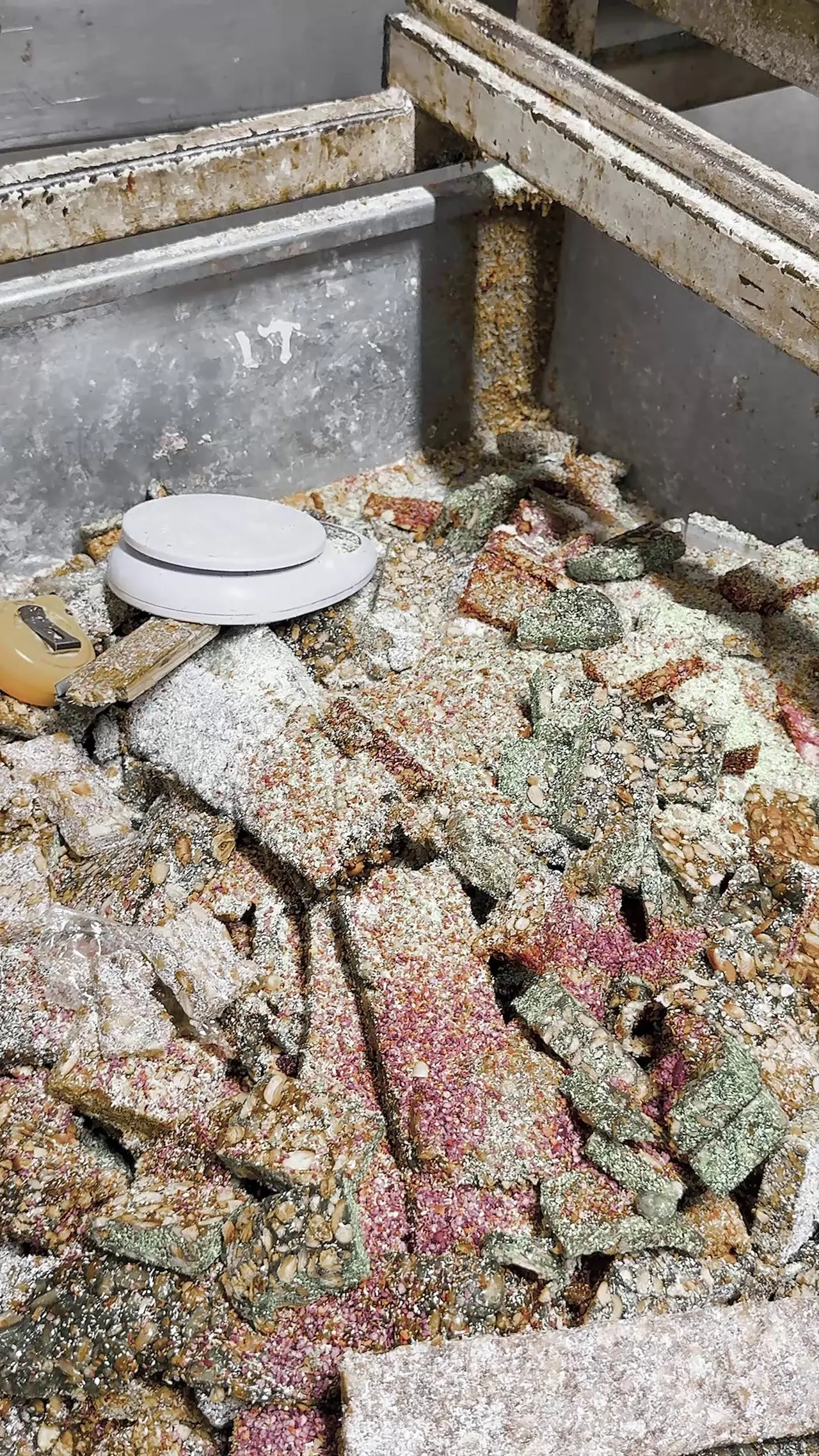 Kötü koku ele verdi! Zabıta kapıyı çaldı, mide bulandıran imalathane ortaya çıktı