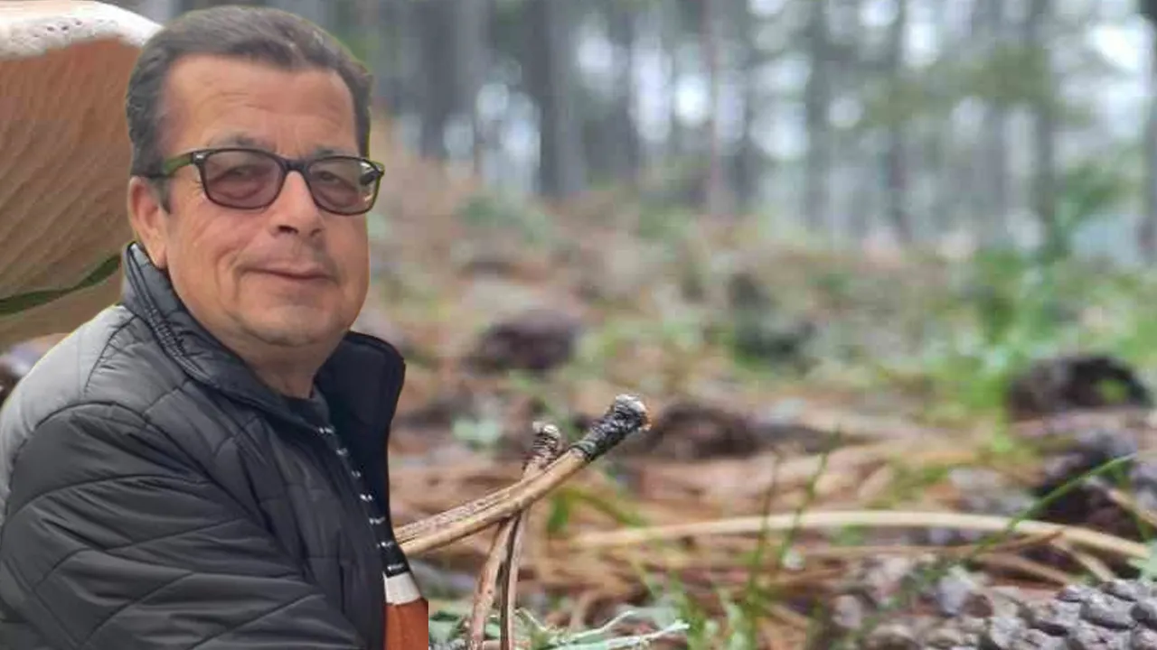 Ormanda acı son! Mantar toplamaya gitmişti, kötü haber geldi