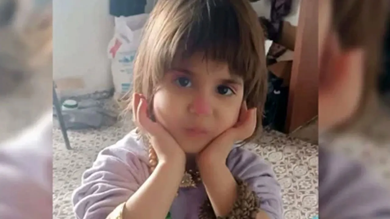 Bitlis 4 yaşındaki Rabi için seferber oldu! Küçük kız her yerde aranıyor