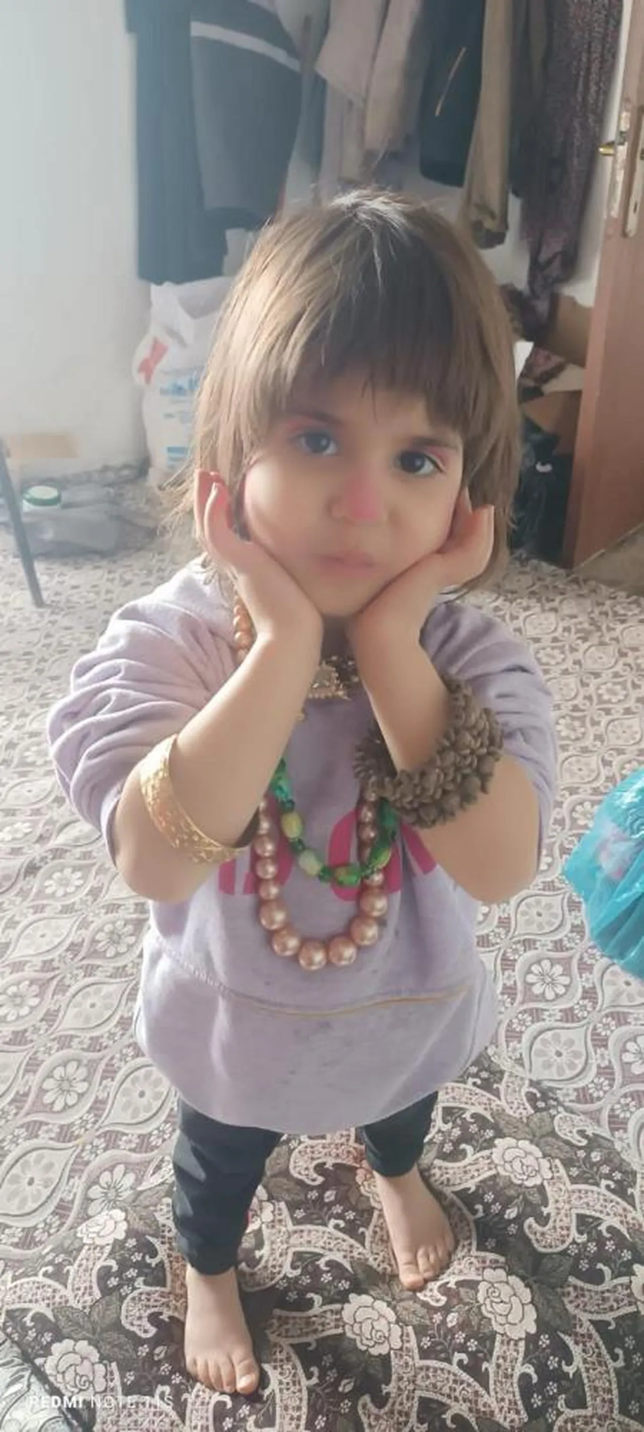 Bitlis 4 yaşındaki Rabi için seferber oldu! Küçük kız her yerde aranıyor