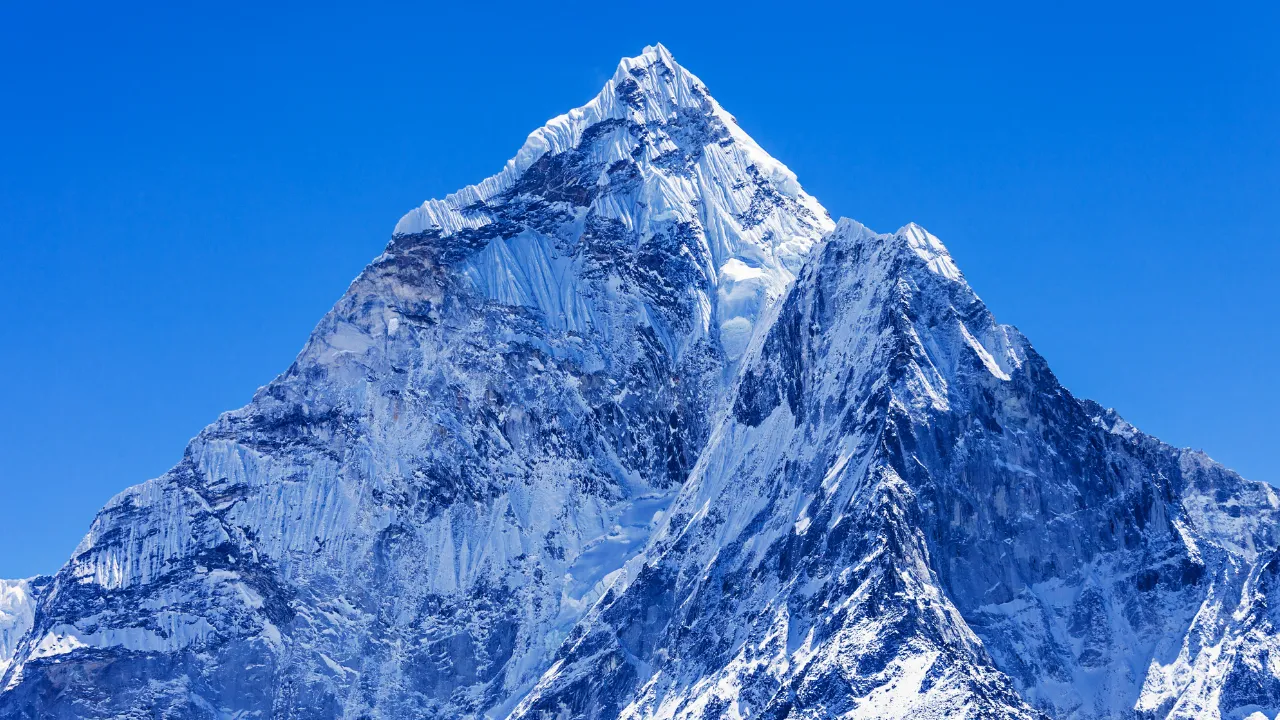 Dünya Everest skandalını konuşuyor! Yemeklere karbonat katıp milyonluk vurgun yaptılar