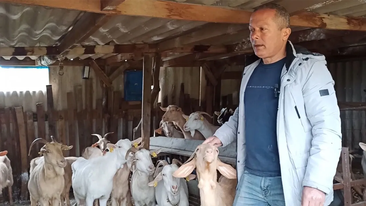 Hobisini kazanca çevirdi! 15 bin liraya da sattığı var, 30 bin TL'ye de...