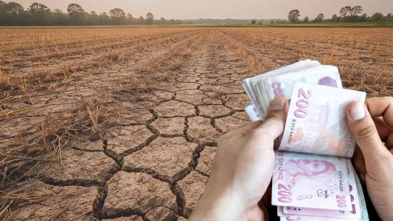 Kuraklıktan etkilenen çiftçiye müjde Ankara'dan geldi! Tüm zararları devlet karşılayacak