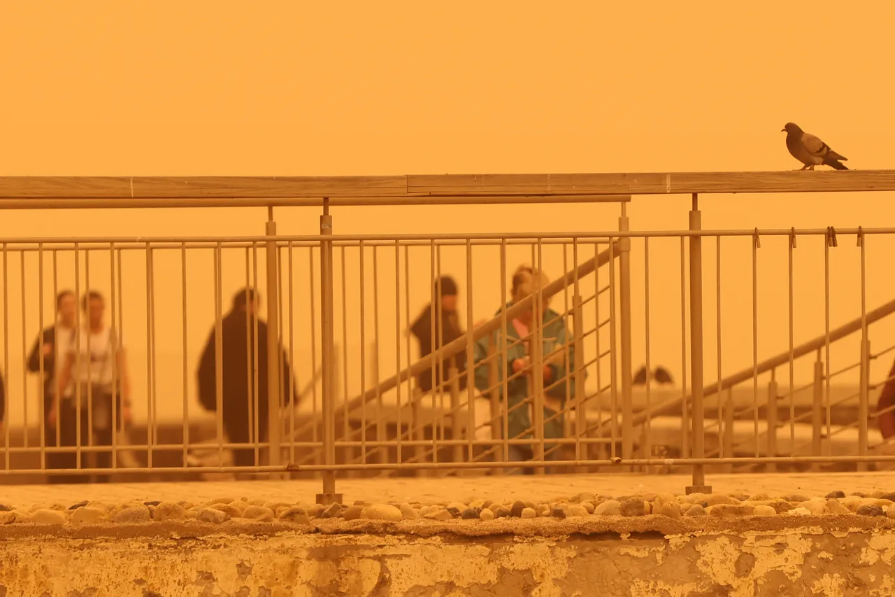 Yunanistan’ı sardı şimdi İstanbul’da! Etkisi 3 gün sürecek, çöl tozu için tarih verildi! Pazar günü kenti terk edecek