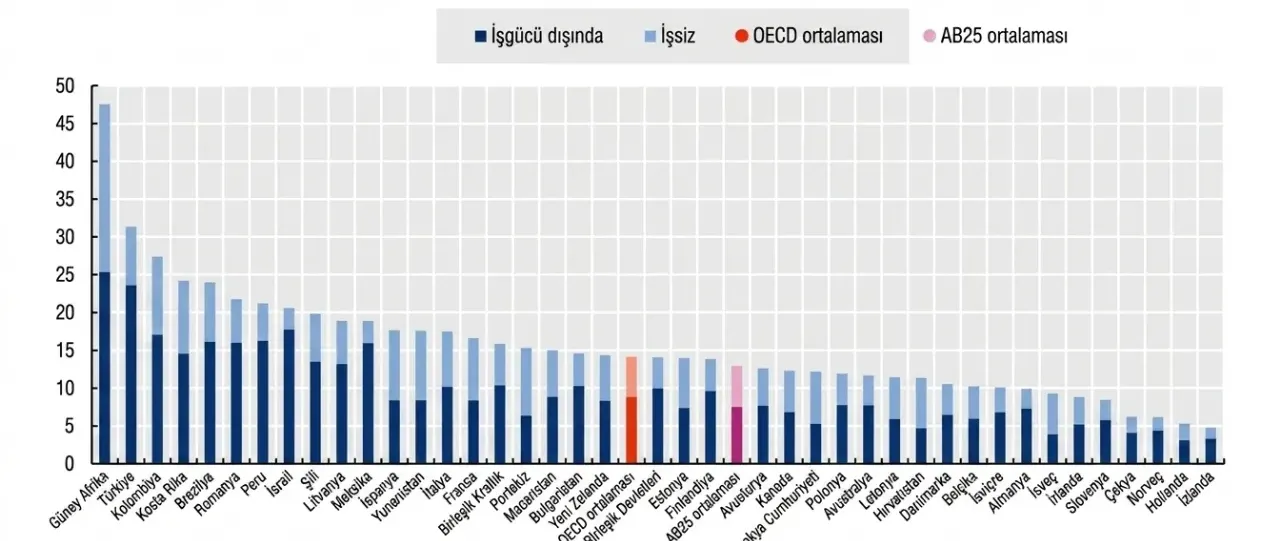 Türkiye'de 18-24 yaş arası kişilerin eğitim, istihdam veya mesleki eğitimde olmayan oranı %31,3 iken, OECD ortalaması %14,1'dir.