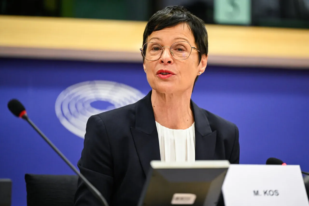 Avrupa Parlamentosu'nda Türkiye'ye övgü dolu sözler: Çok büyük ve güçlüler