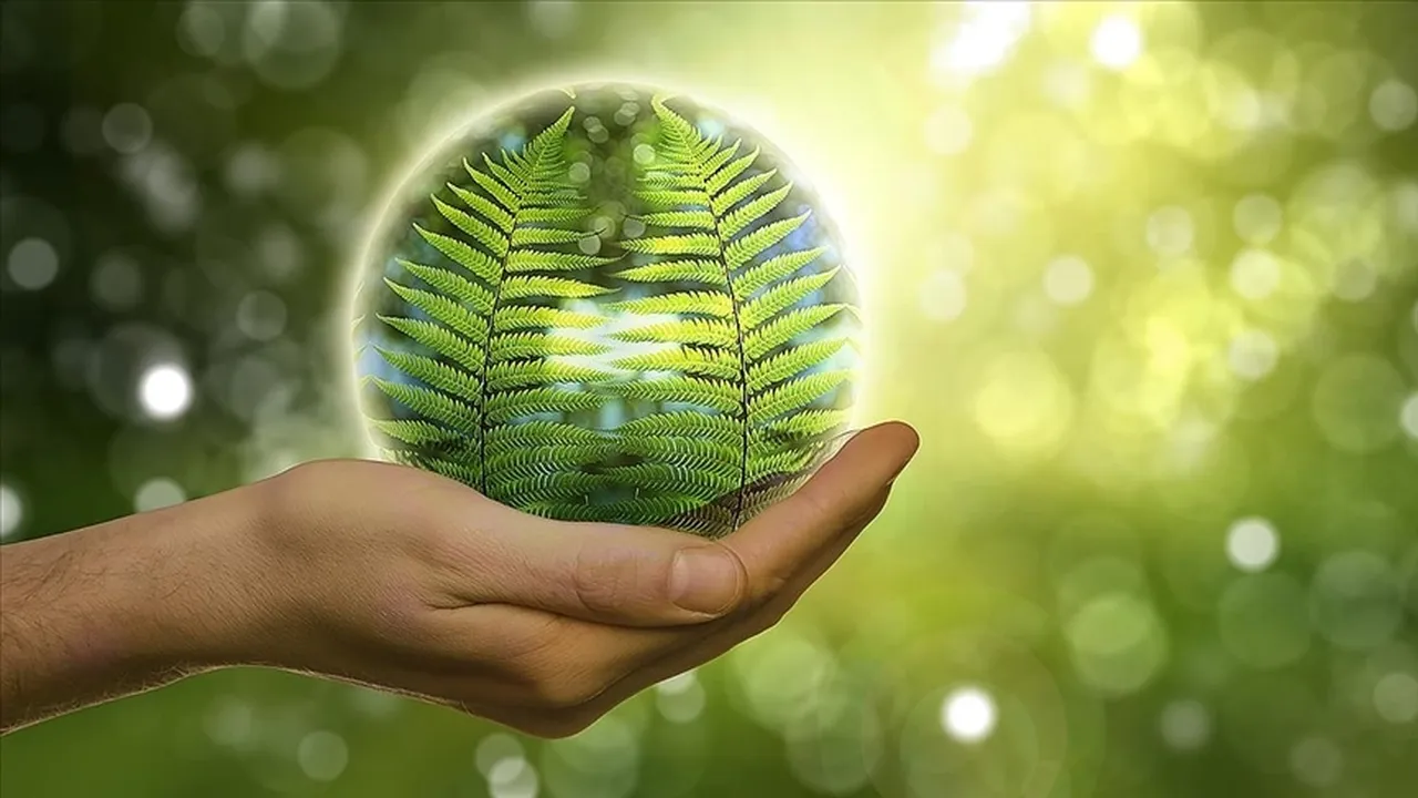 Marmara'da kalkınma hamlesi! 11 ili kapsıyor, işte şehir şehir verilecek destekler