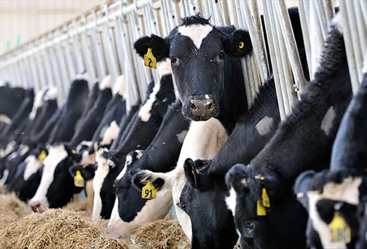 Marmara'da kalkınma hamlesi! 11 ili kapsıyor, işte şehir şehir verilecek destekler