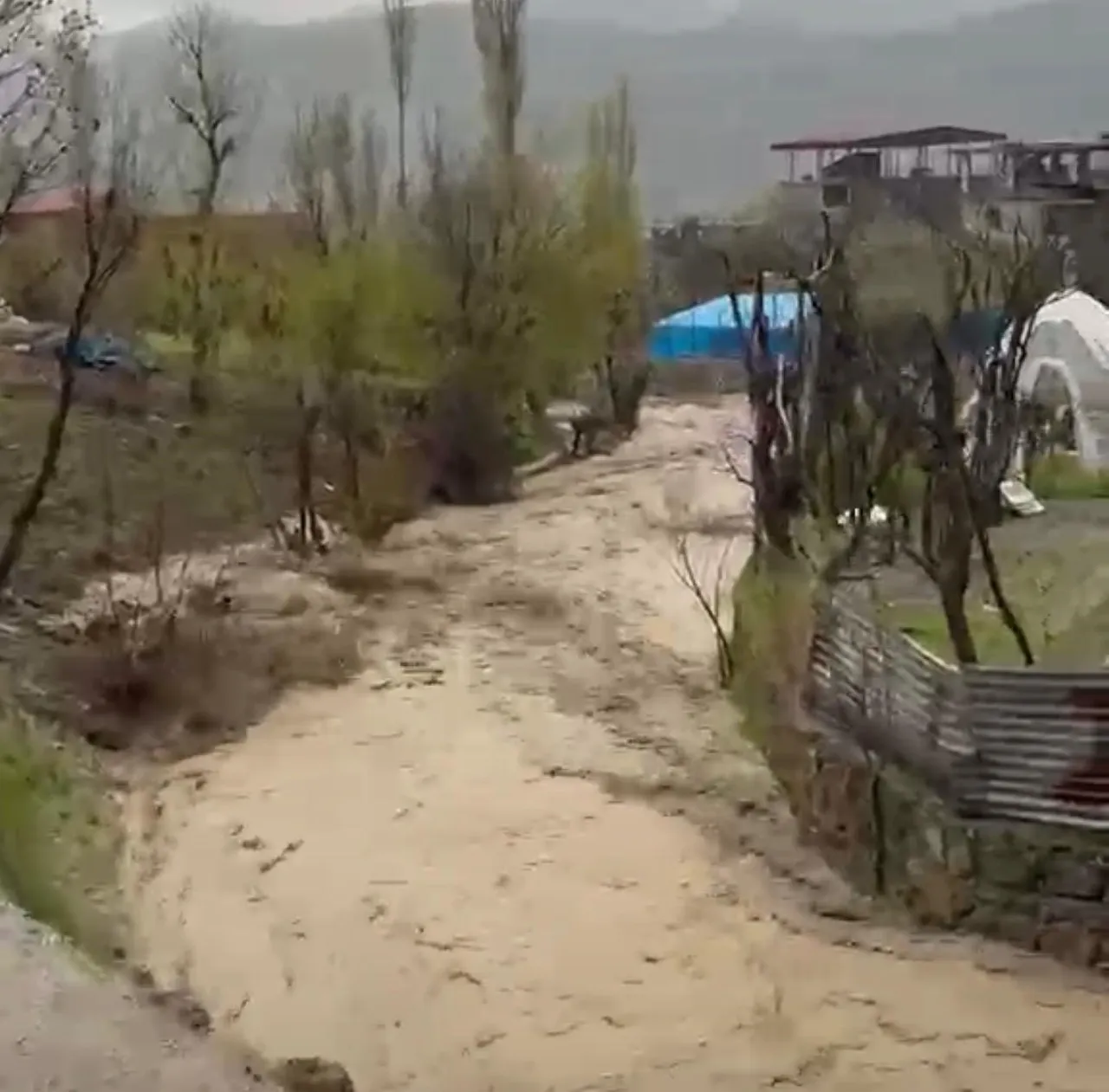 Ne siren ne anons... Şırnak'ta silah sesleri köylüyü ölümden  kurtardı!