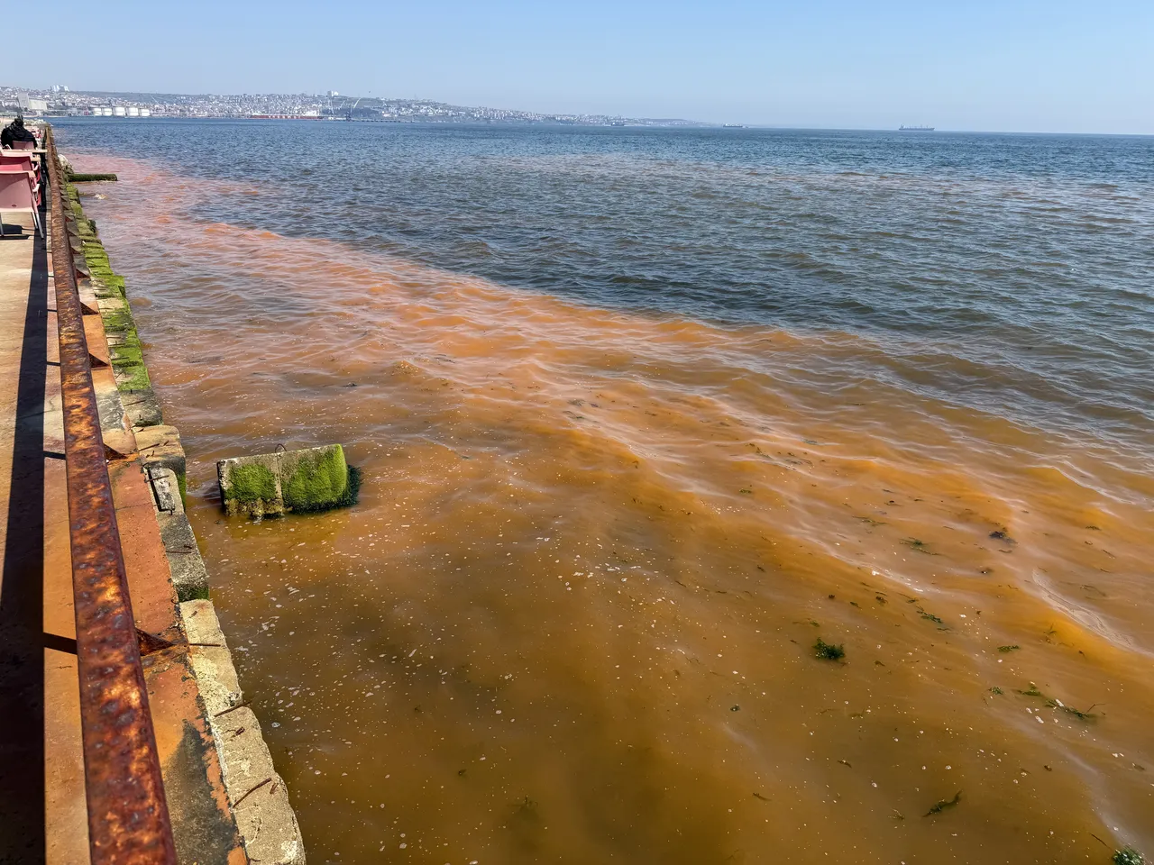 Tekirdağ'da deniz renk değiştirdi, uzmanından açıklama geldi