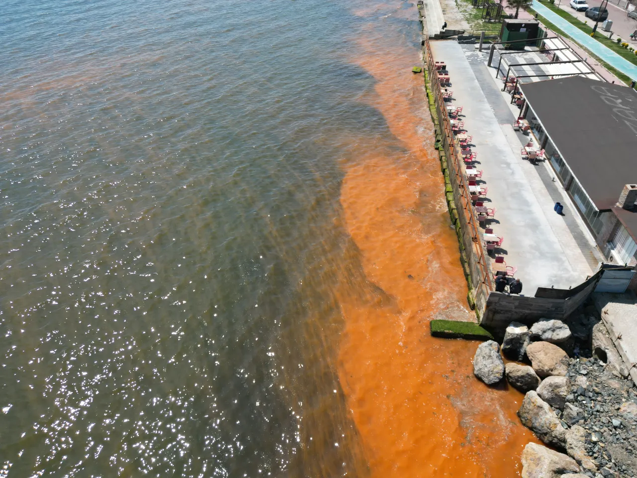 Tekirdağ'da deniz renk değiştirdi, uzmanından açıklama geldi