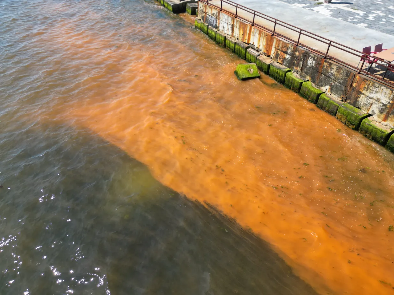 Tekirdağ'da deniz renk değiştirdi, uzmanından açıklama geldi