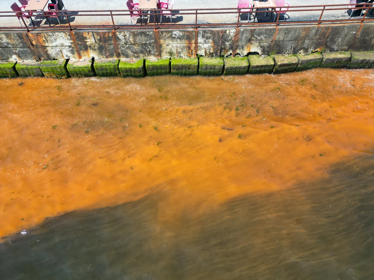 Tekirdağ'da deniz renk değiştirdi, uzmanından açıklama geldi