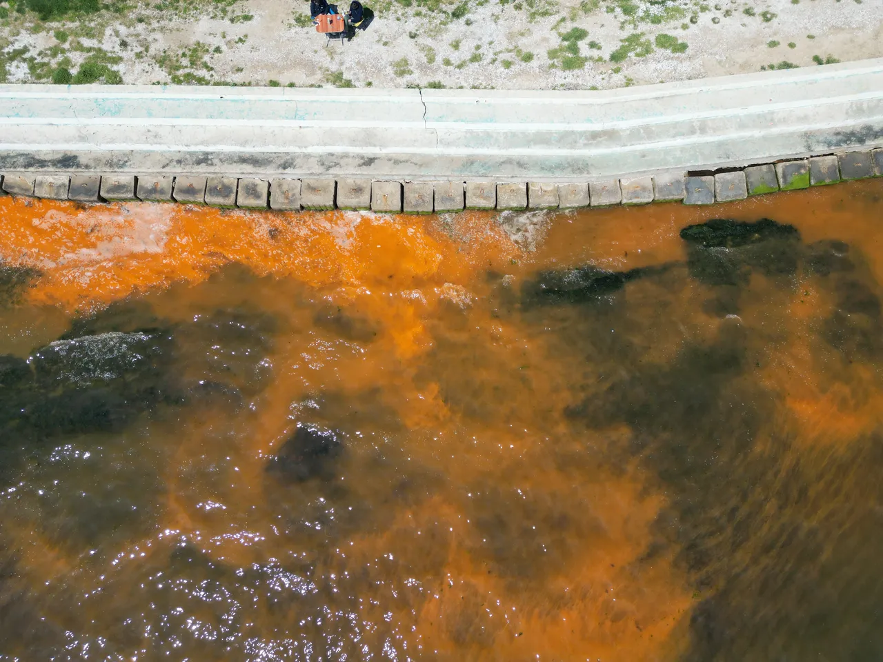 Tekirdağ'da deniz renk değiştirdi, uzmanından açıklama geldi