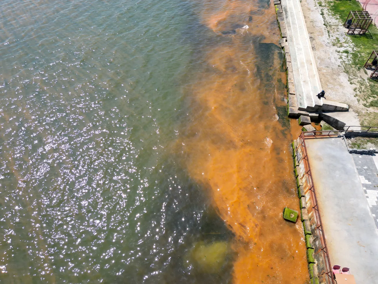 Tekirdağ'da deniz renk değiştirdi, uzmanından açıklama geldi
