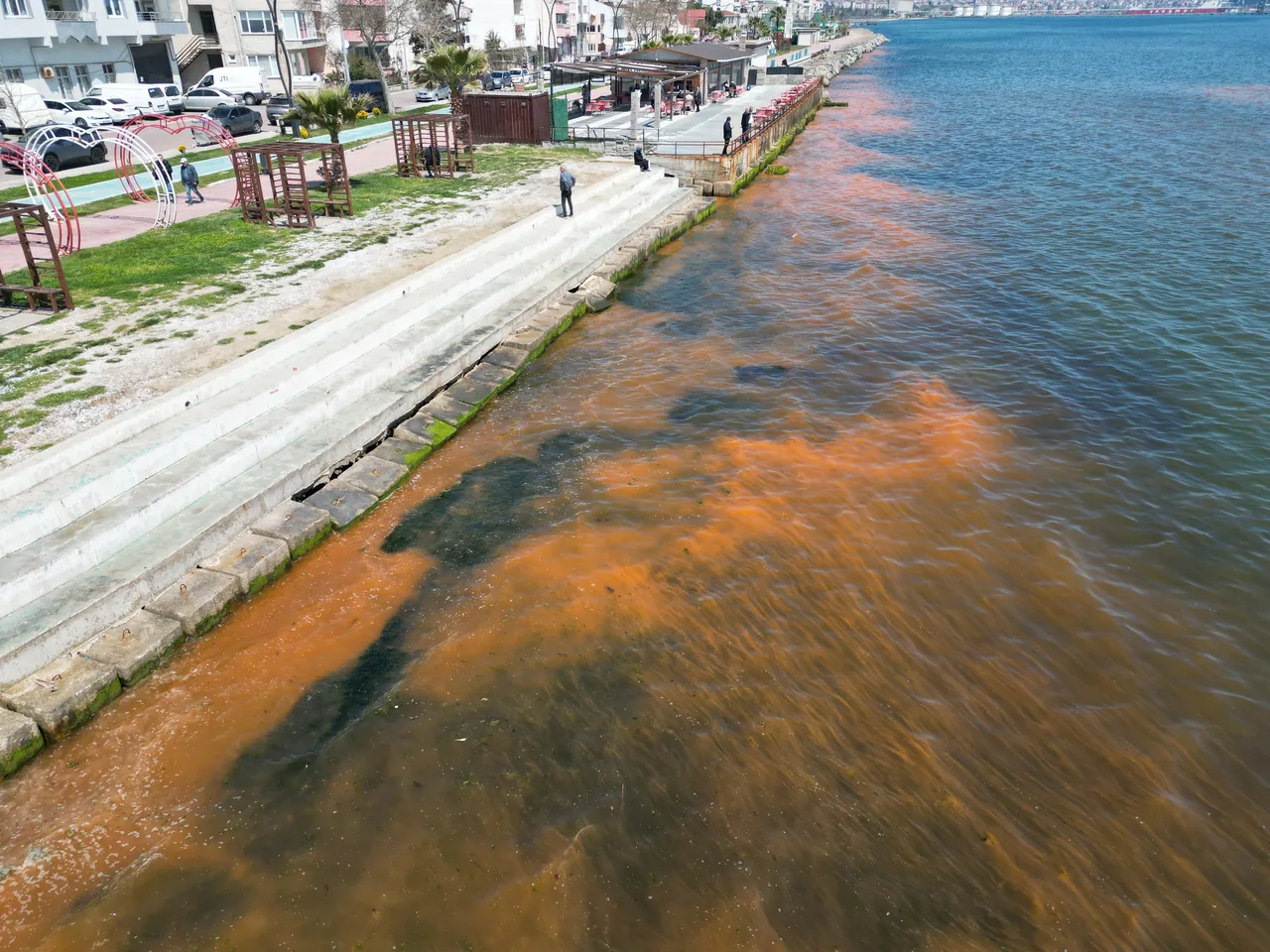Tekirdağ'da deniz renk değiştirdi, uzmanından açıklama geldi