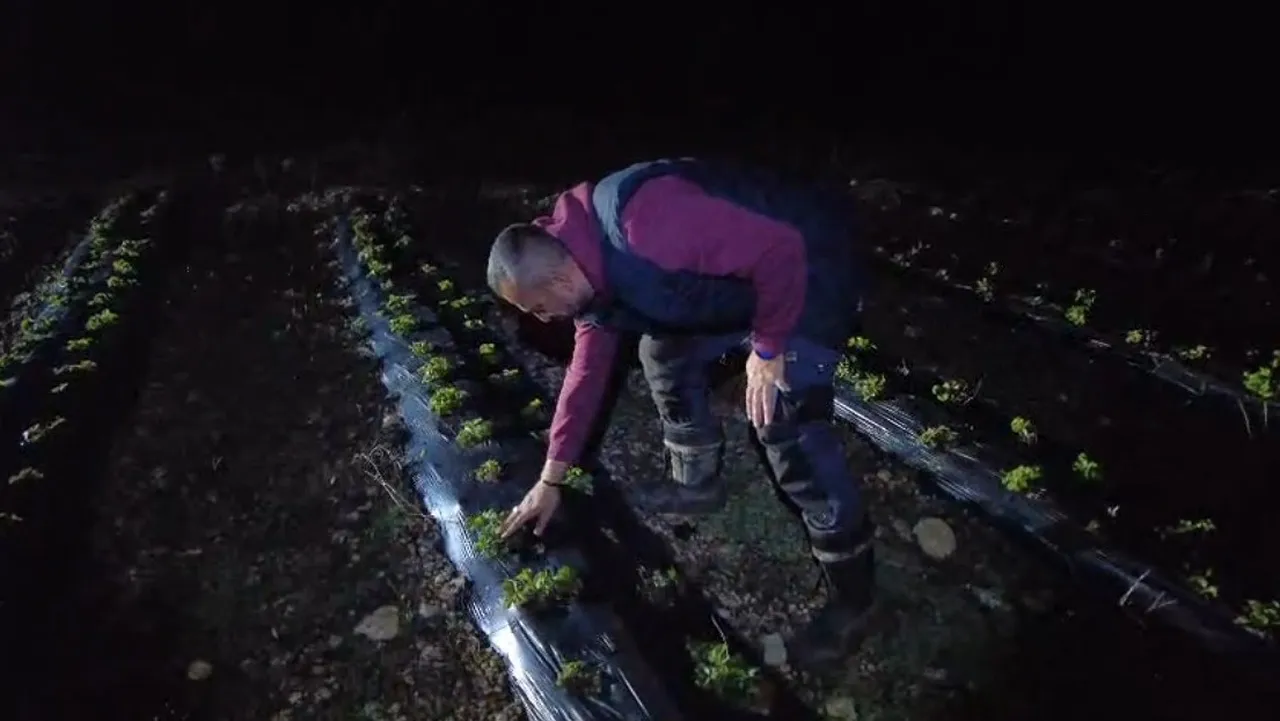 36 ili dalga dalga vuran kâbus! 2025’teki risk 2026’da da sürüyor, çiftçi ‘dumanlı’ nöbete başladı